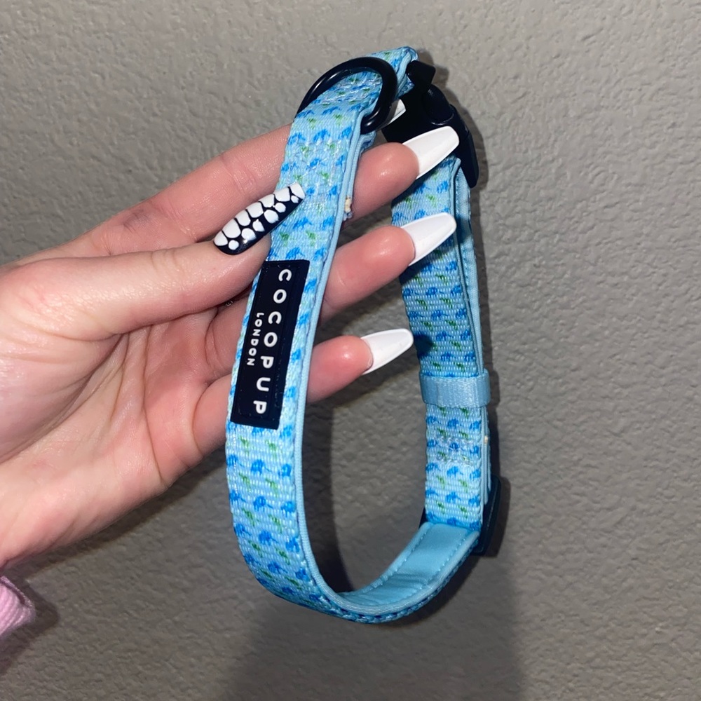 Dinosaur Dog Collar